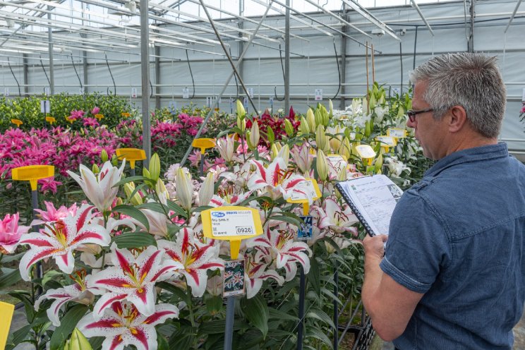 Jubilerend Onings laat stem lelievak horen