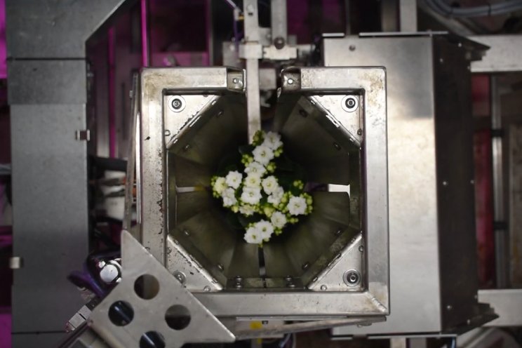 Robot Bosman Van Zaal verpakt potplanten