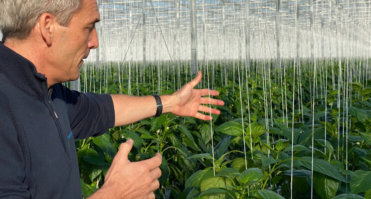 Schoolvoorbeeld van biologische bescherming