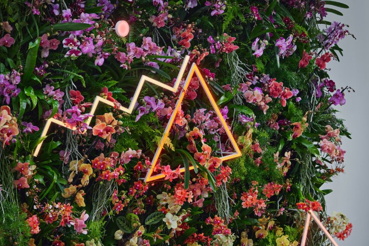 ‘In Full Bloom’ tijdens Dutch Design Week ‘In Full Bloom’ tijdens Dutch Design Week