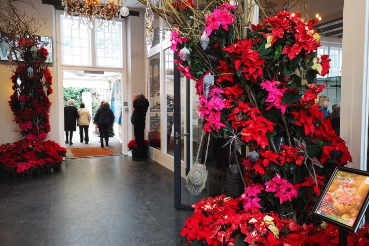 Kerststerrencampagne schittert op Kerstfair Kerststerrencampagne schittert op Kerstfair