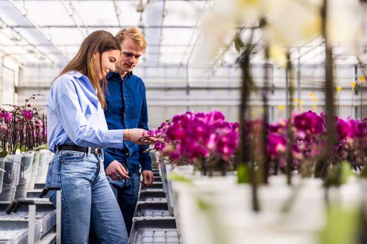 Opti-flor gegroeid naar lerende organisatie Opti-flor gegroeid naar lerende organisatie