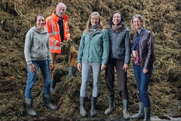 Extract Komkommerloof ingezet tegen aaltjes Extract Komkommerloof ingezet tegen aaltjes