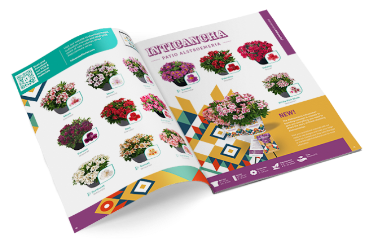 Catalogus HilverdaFlorist voor Pot, Patio & Garden Catalogus HilverdaFlorist voor Pot, Patio & Garden