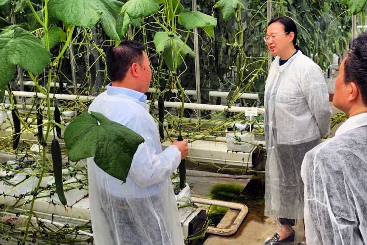 Delegatie China brengt bezoek aan Van der Knaap Delegatie China brengt bezoek aan Van der Knaap