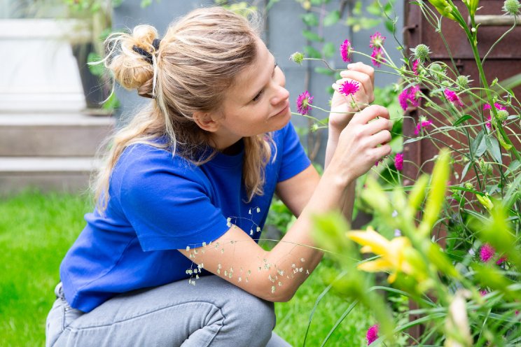 Weinig inheemse planten en bio-planten gekocht