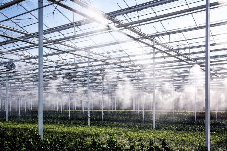 20% EG-Subsidie op installatie FOG-System 20% EG-Subsidie op installatie FOG-System