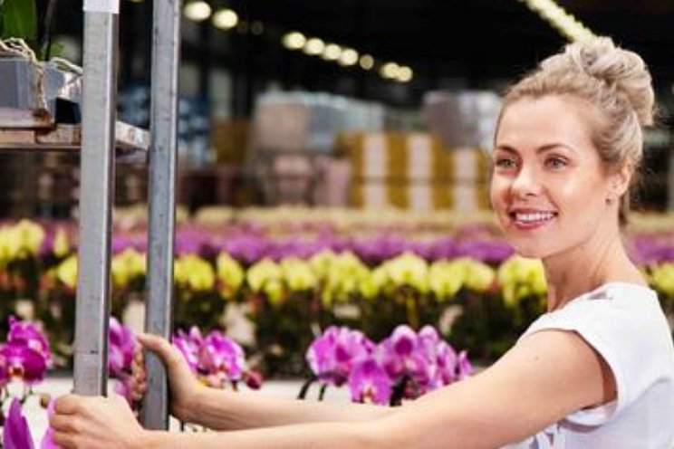 Wettelijk minimumloon hoog op agenda nieuwe cao Wettelijk minimumloon hoog op agenda nieuwe cao
