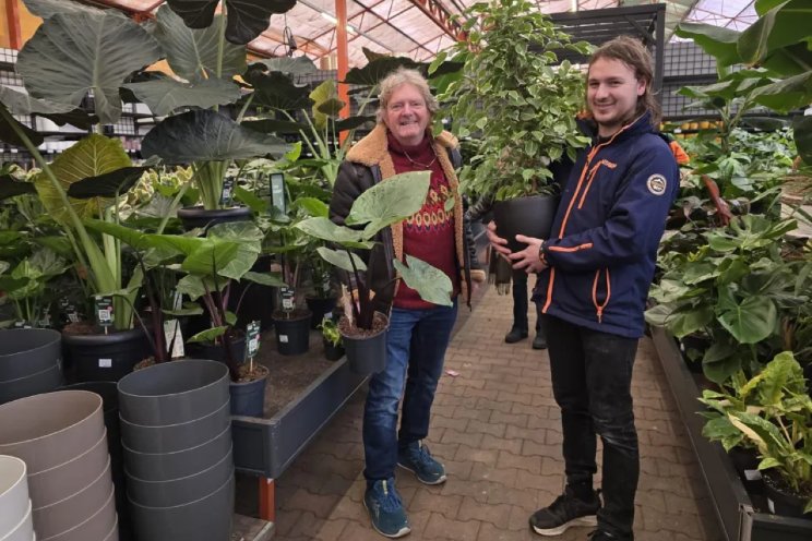 'Kerstboom eruit, kamerplant erin' 'Kerstboom eruit, kamerplant erin'