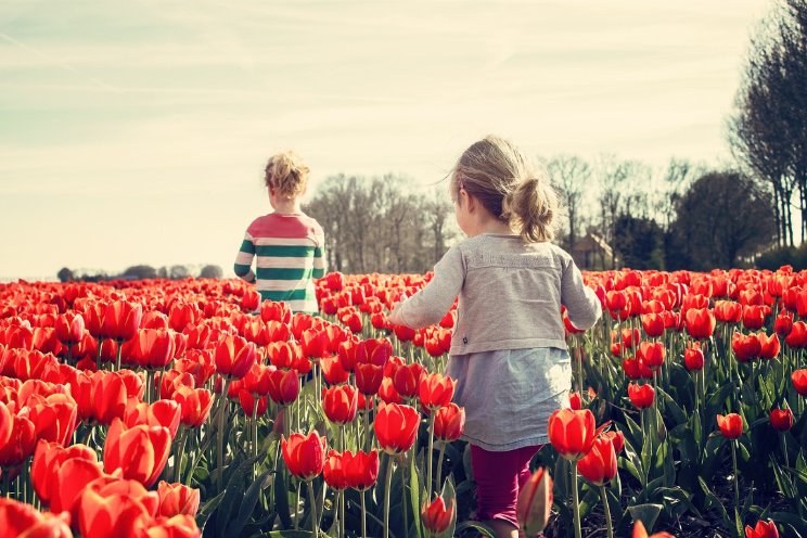De mooiste plekken in NL De mooiste plekken in NL