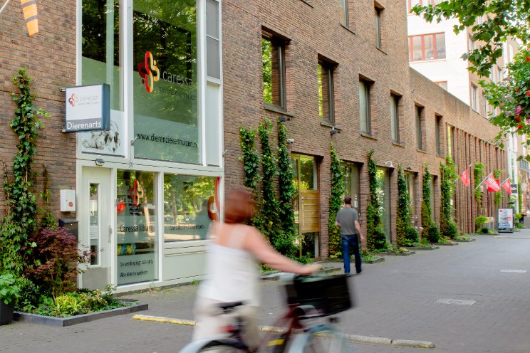 'Beplanting in elke straat' 'Beplanting in elke straat'