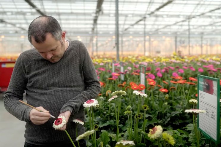 Nieuwe tagline en video voor Hilverda Florist Nieuwe tagline en video voor Hilverda Florist