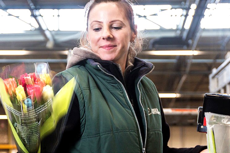 Bercomex neemt Terra International over Bercomex neemt Terra International over