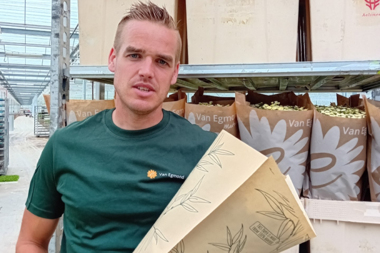 Matricariateler positief over papieren bloemenhoezen Matricariateler positief over papieren bloemenhoezen