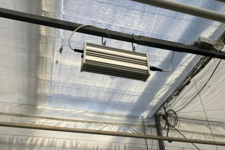 Gespot: LED