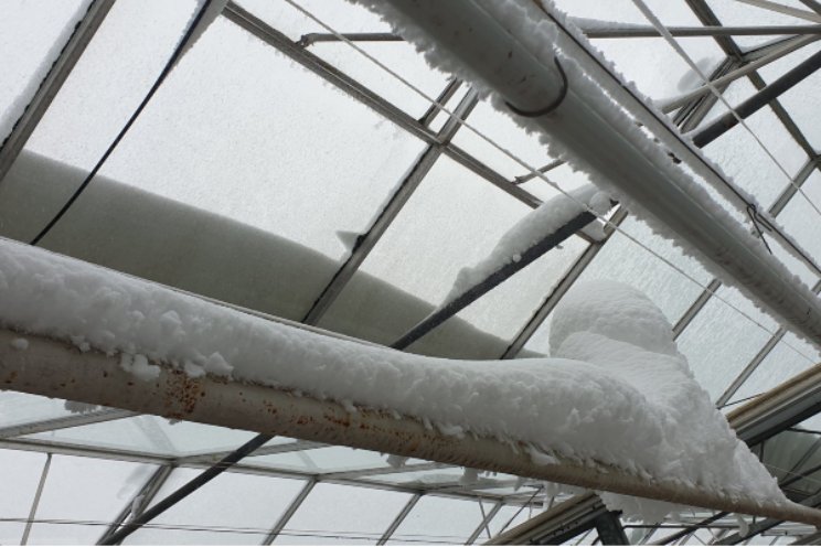 Echte winterse dagen, daarna wordt het warmer Echte winterse dagen, daarna wordt het warmer
