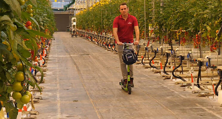 Win jij een E-Scooter met de enquête van Intrahorti? Win jij een E-Scooter met de enquête van Intrahorti?