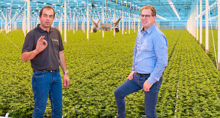 Proef met nieuwe Power Food gestart bij Linflowers Proef met nieuwe Power Food gestart bij Linflowers