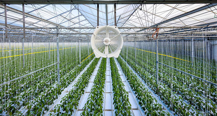 Nieuwe generatie Multifan Tuinbouwventilatoren