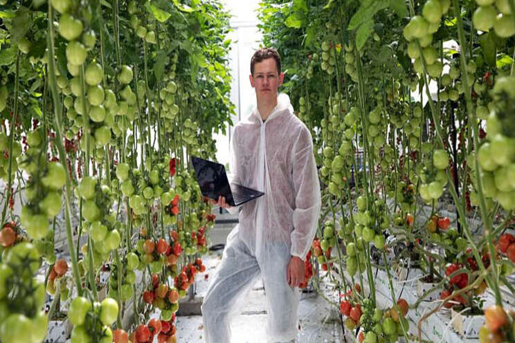 Griekse tuinbouwsector biedt kansen Nederland