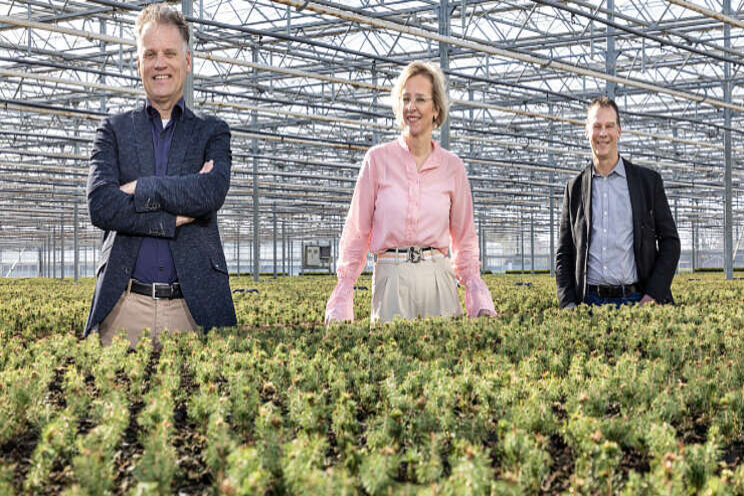 Rabobank in Oost-Brabant zet meer in op tuinbouw