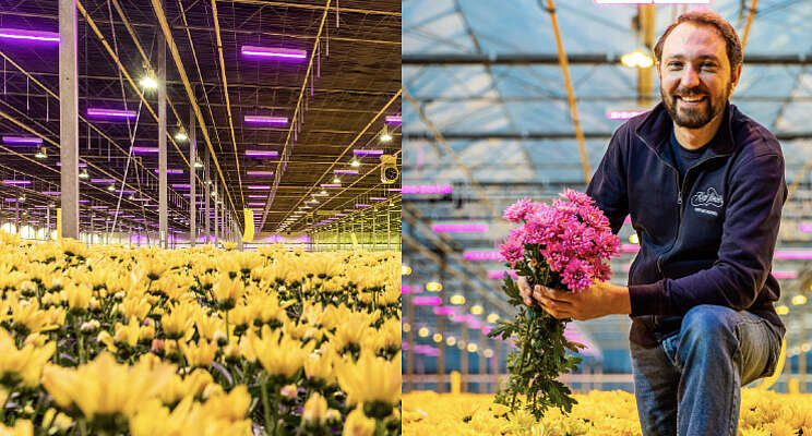 Groeilichtoplossing op maat voor Kiepflower Groeilichtoplossing op maat voor Kiepflower