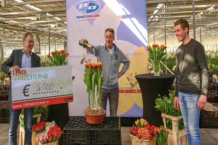 Tulp 'Tourmalet' gedoopt