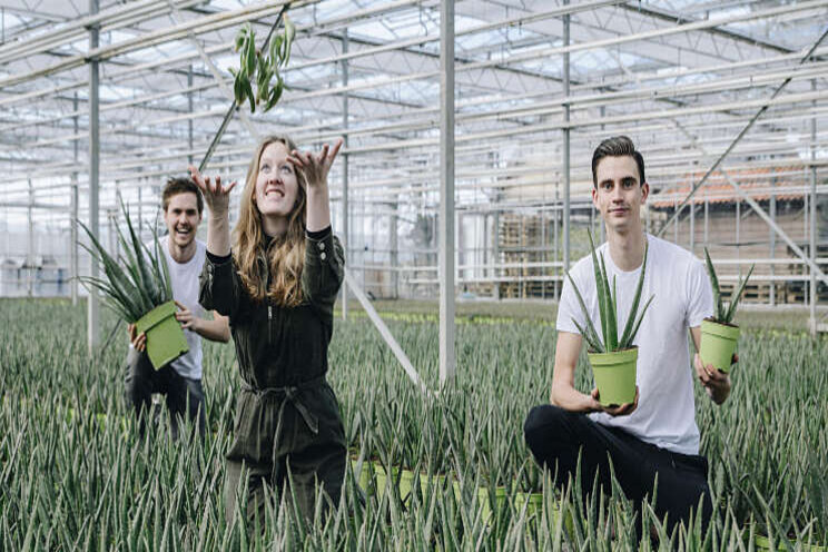 Plantjes tegen eenzaamheid? Plantjes tegen eenzaamheid?
