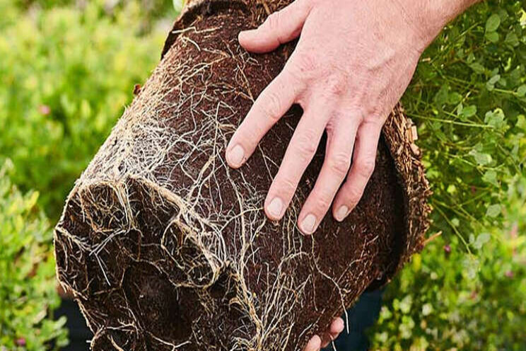 Plant Health Cure deelt kennis via 12 webinars Plant Health Cure deelt kennis via 12 webinars