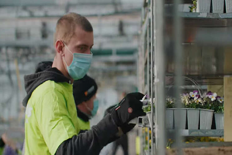 Royal Lemkes: Red de planten! Royal Lemkes: Red de planten!