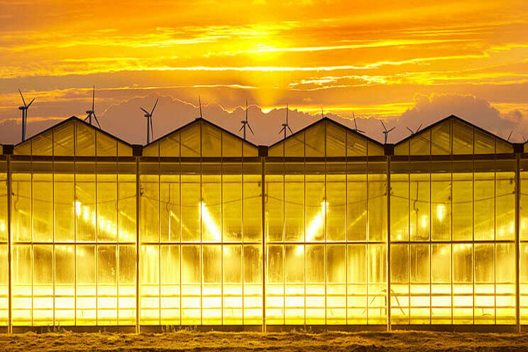 AgroEnergy keert half miljoen uit aan klanten AgroEnergy keert half miljoen uit aan klanten