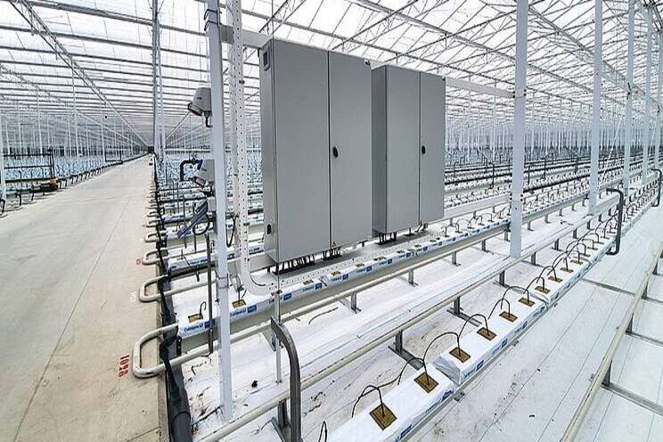 Project in beeld: Hoogweg Project in beeld: Hoogweg