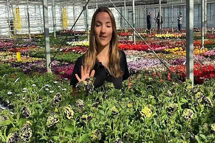 'Petunia Mystical is niet voor iedereen geschikt'