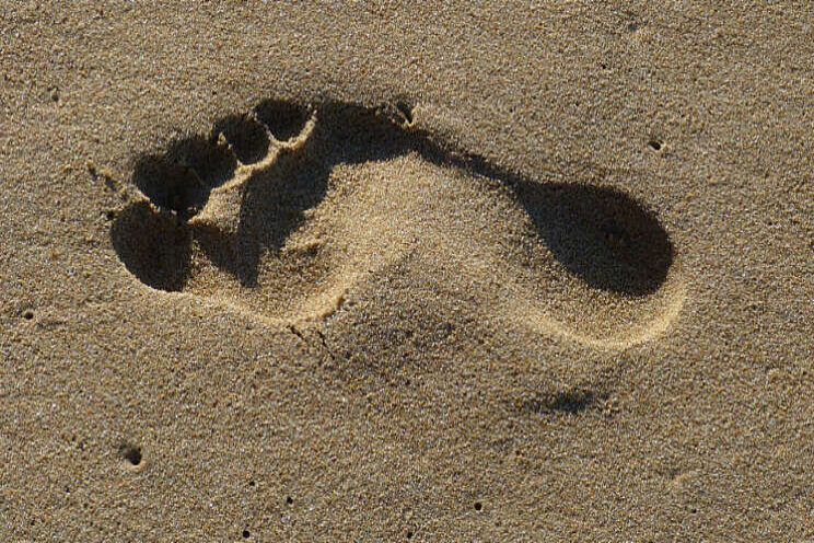 HortiFootprint: eenduidige berekening milieufootprint HortiFootprint: eenduidige berekening milieufootprint
