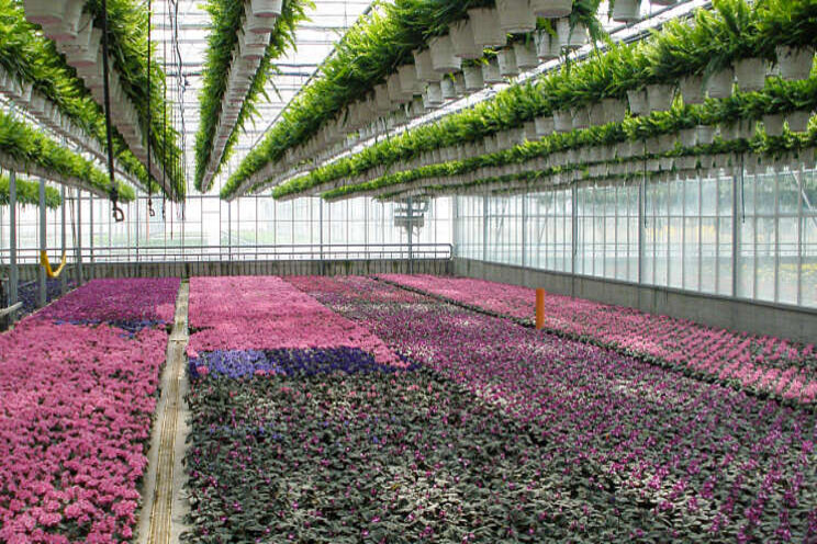Nieuwe besturing voor Hanging Basket System Nieuwe besturing voor Hanging Basket System