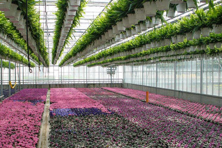 Ludieke actie Metazet Formflex rondom hanging basket Ludieke actie Metazet Formflex rondom hanging basket