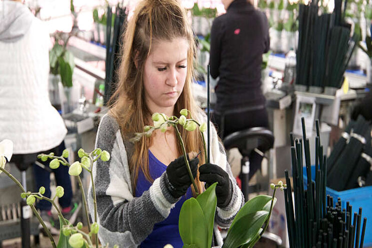Meer dan negen miljoen Nederlanders aan het werk Meer dan negen miljoen Nederlanders aan het werk